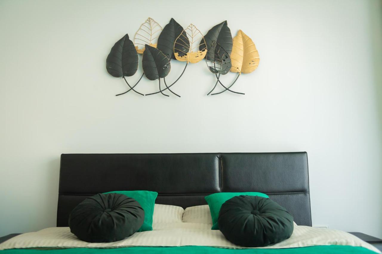 City Vibe Studio Brašov Exteriér fotografie